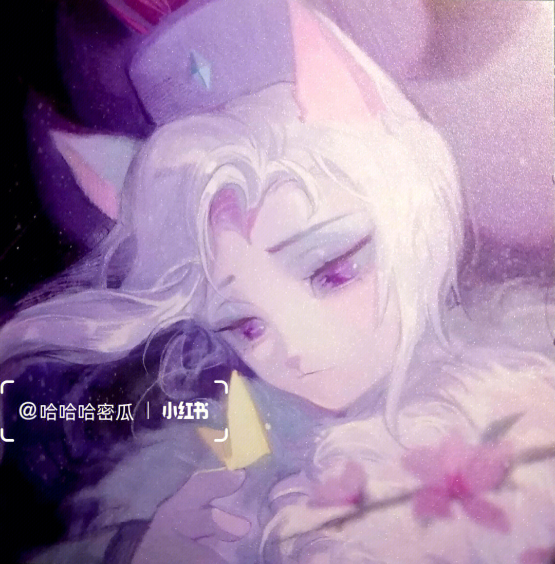 京剧猫美女排名 猫女图片