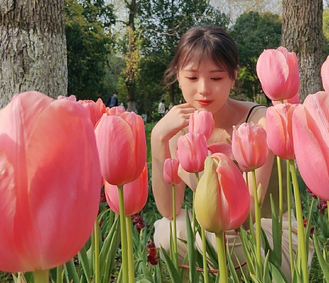 植物园郁金香花海