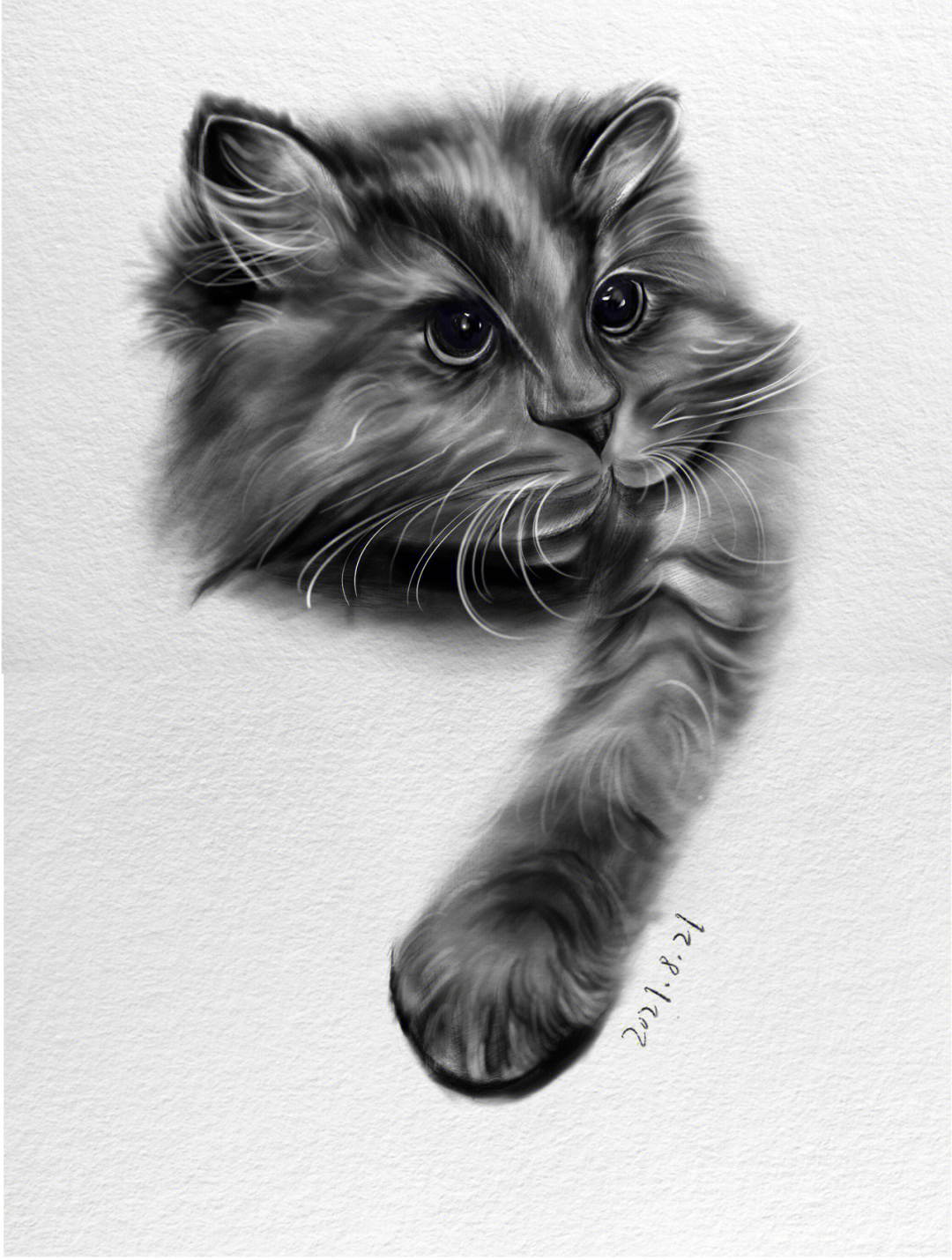 小猫素描图图片