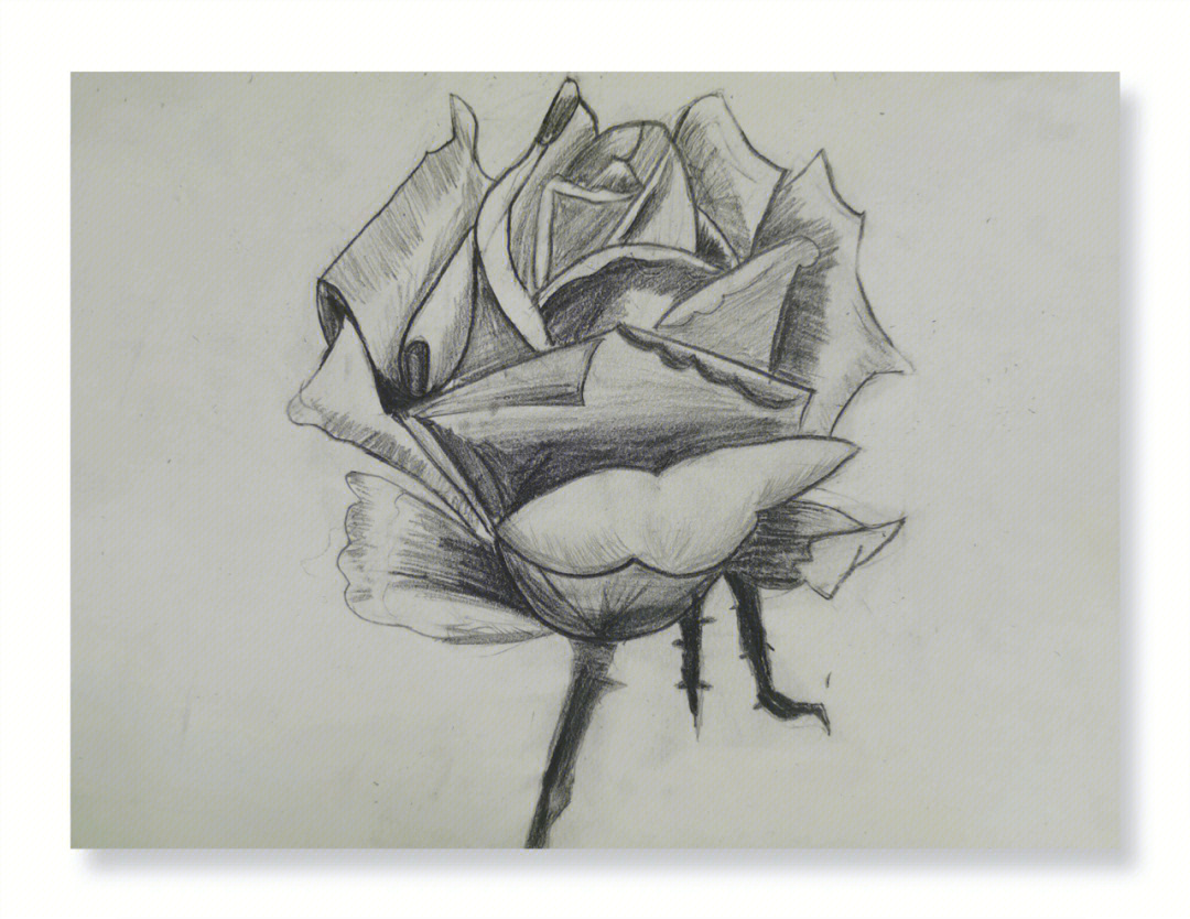 儿童创意美术静物素描玫瑰花
