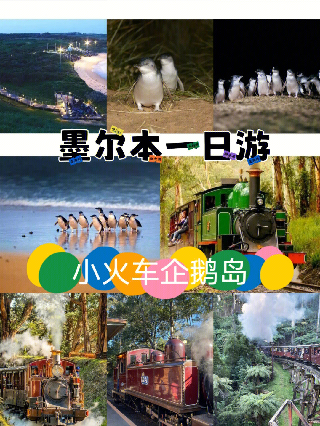 墨尔本简介图片