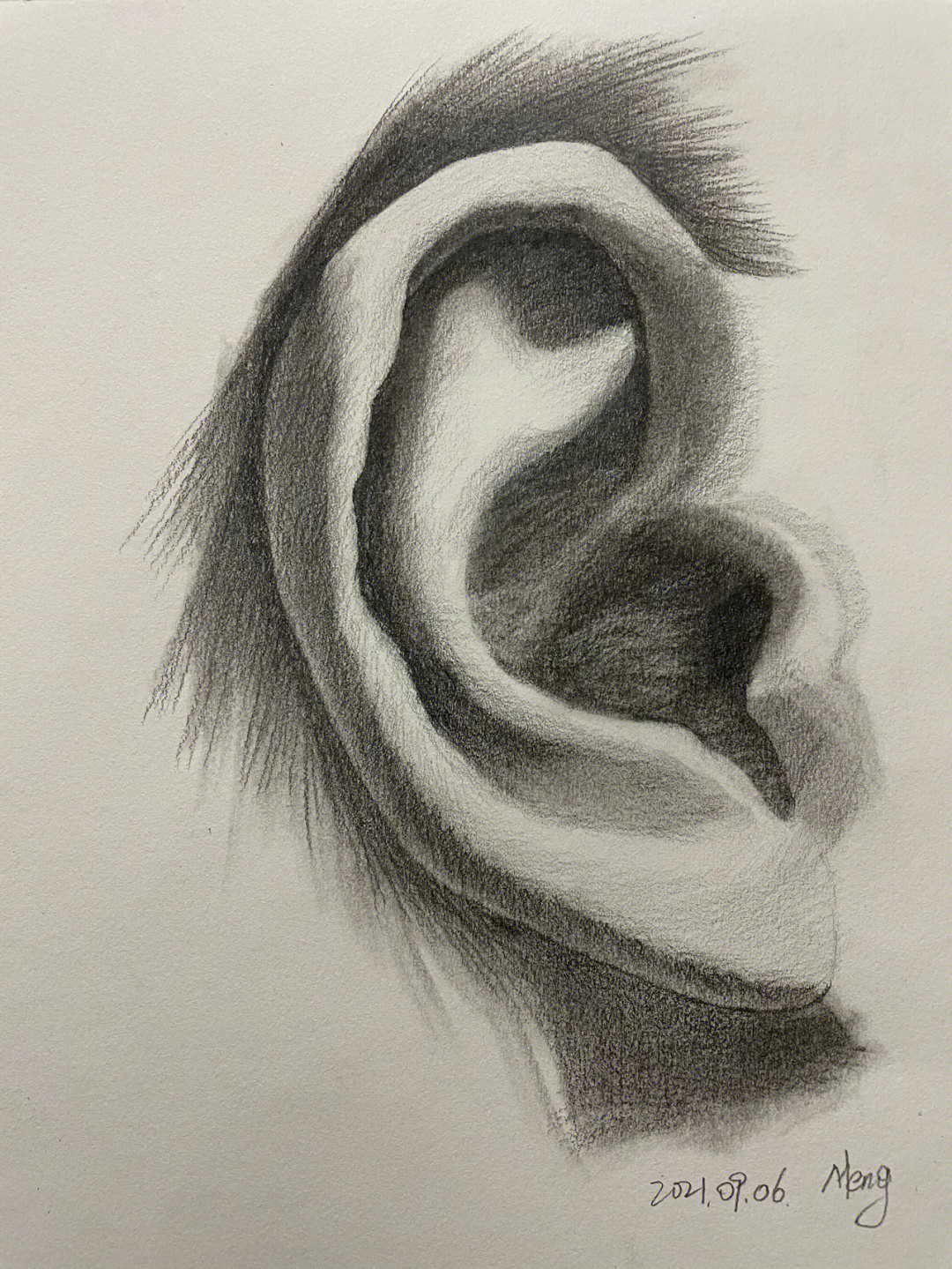 耳朵正面素描图片