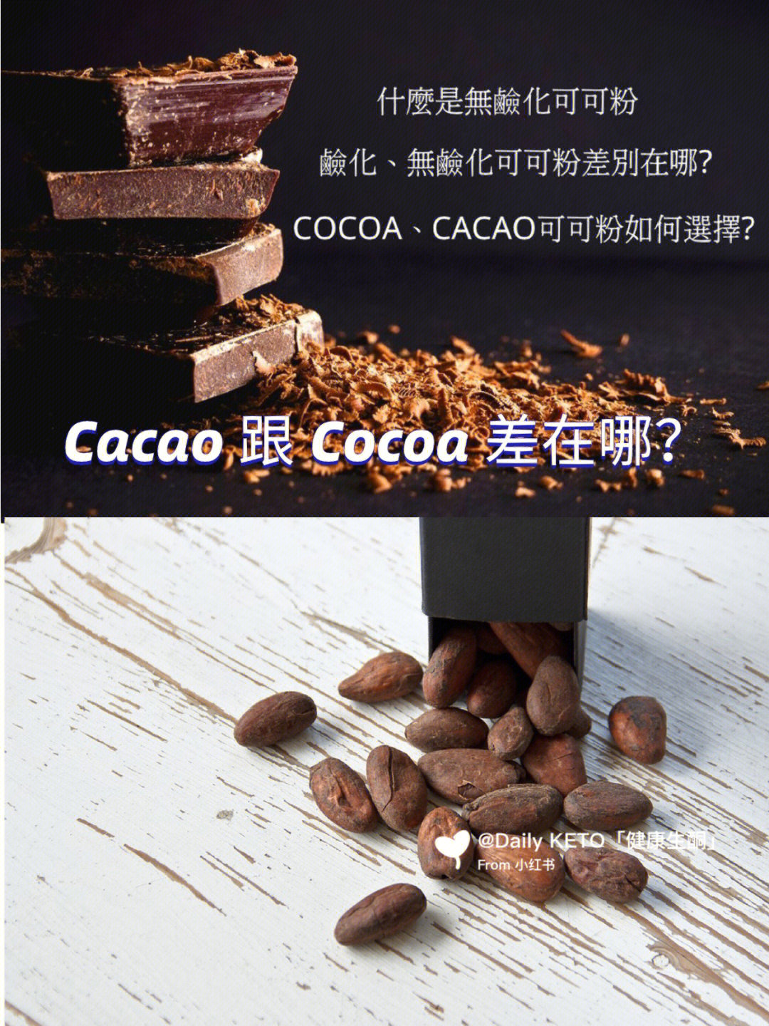 cacaobeans图片