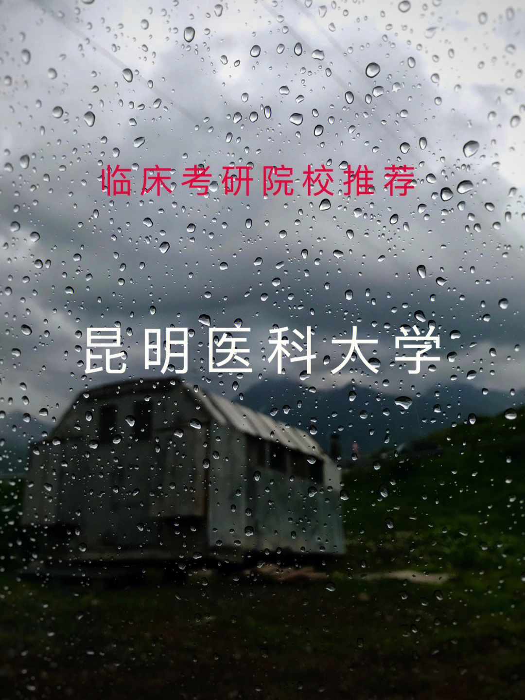 大理大学研究生院官网_大理大学研究复试专业_2023大理大学研究生官网