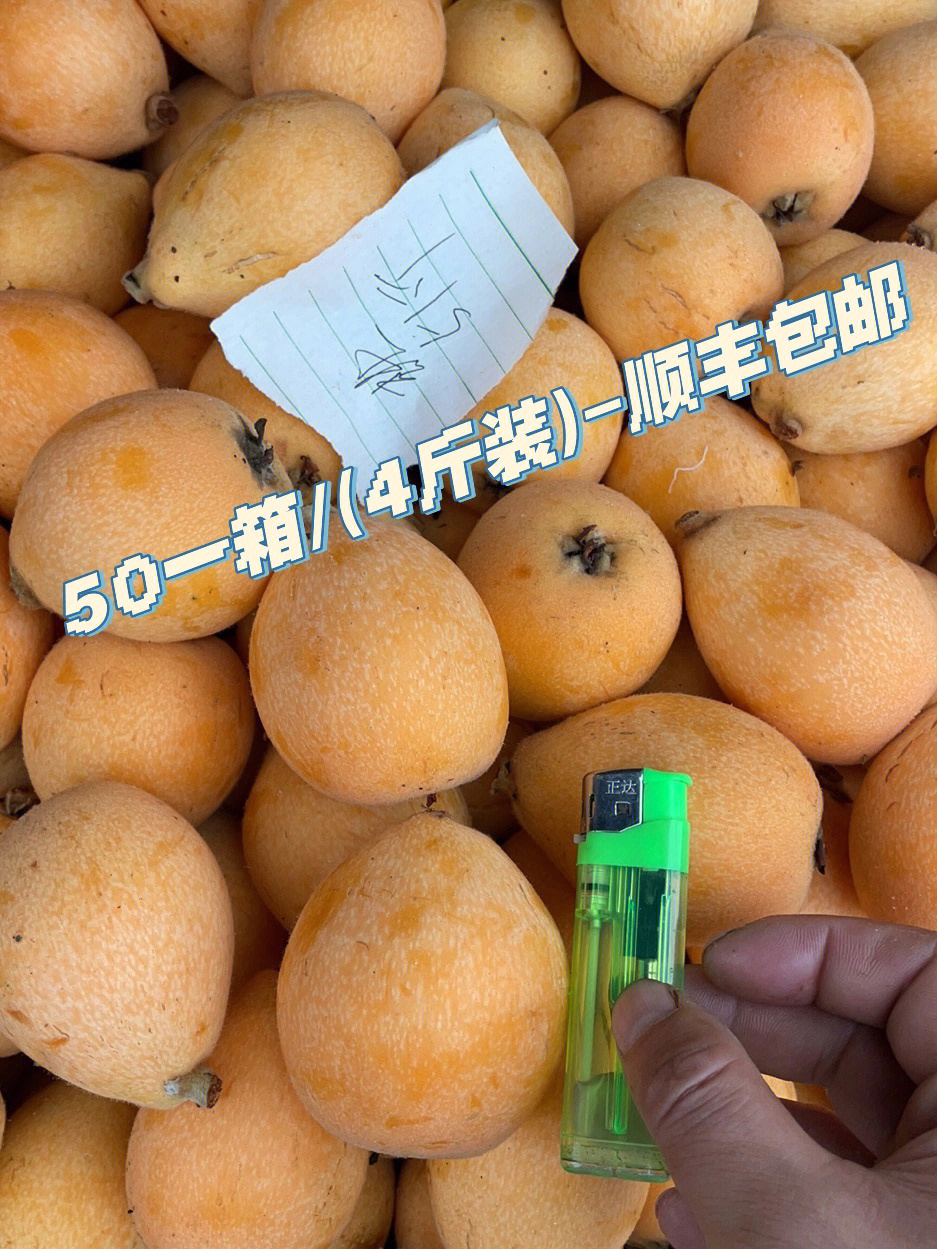 常太枇杷特价50一箱净重4斤顺丰包邮