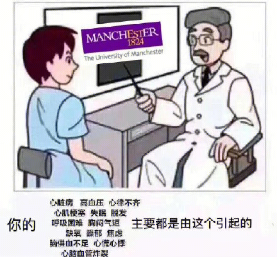 留学留学表情包