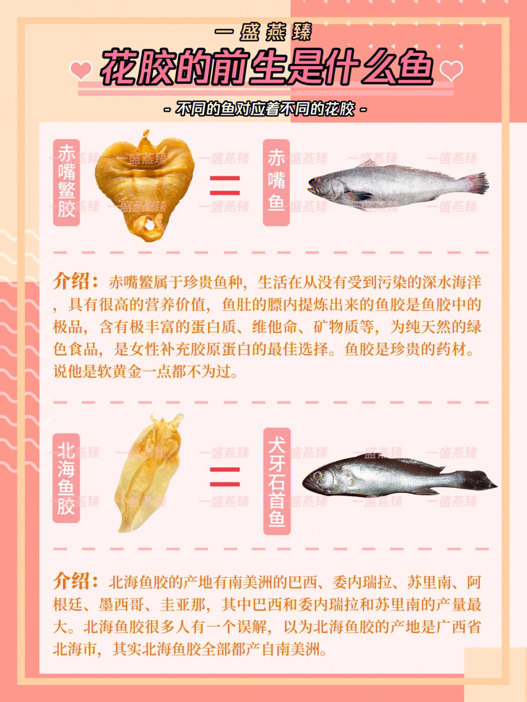 鳘的拼音图片