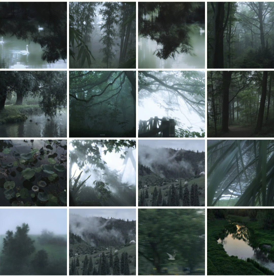 静谧森林楔石图片