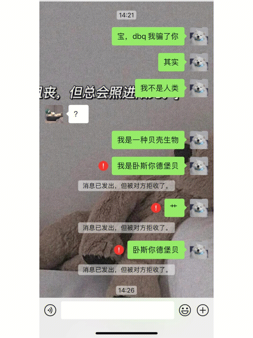 你被拉黑了表情包图片