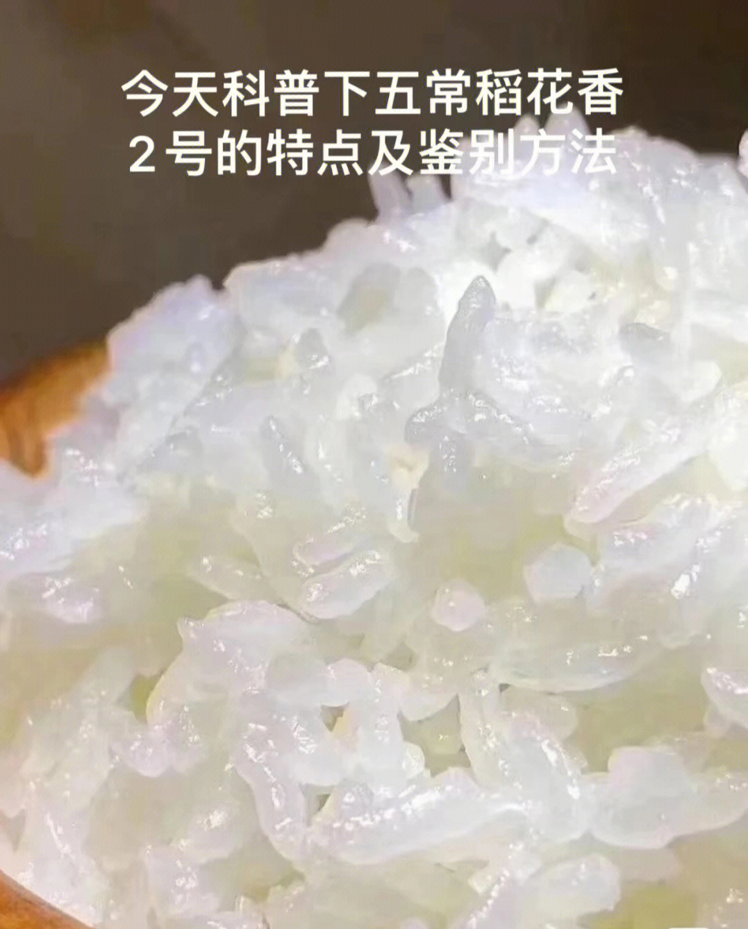 假大米煮熟后图片图片