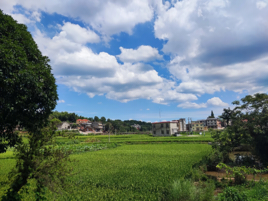 夏天乡村美景的图片图片