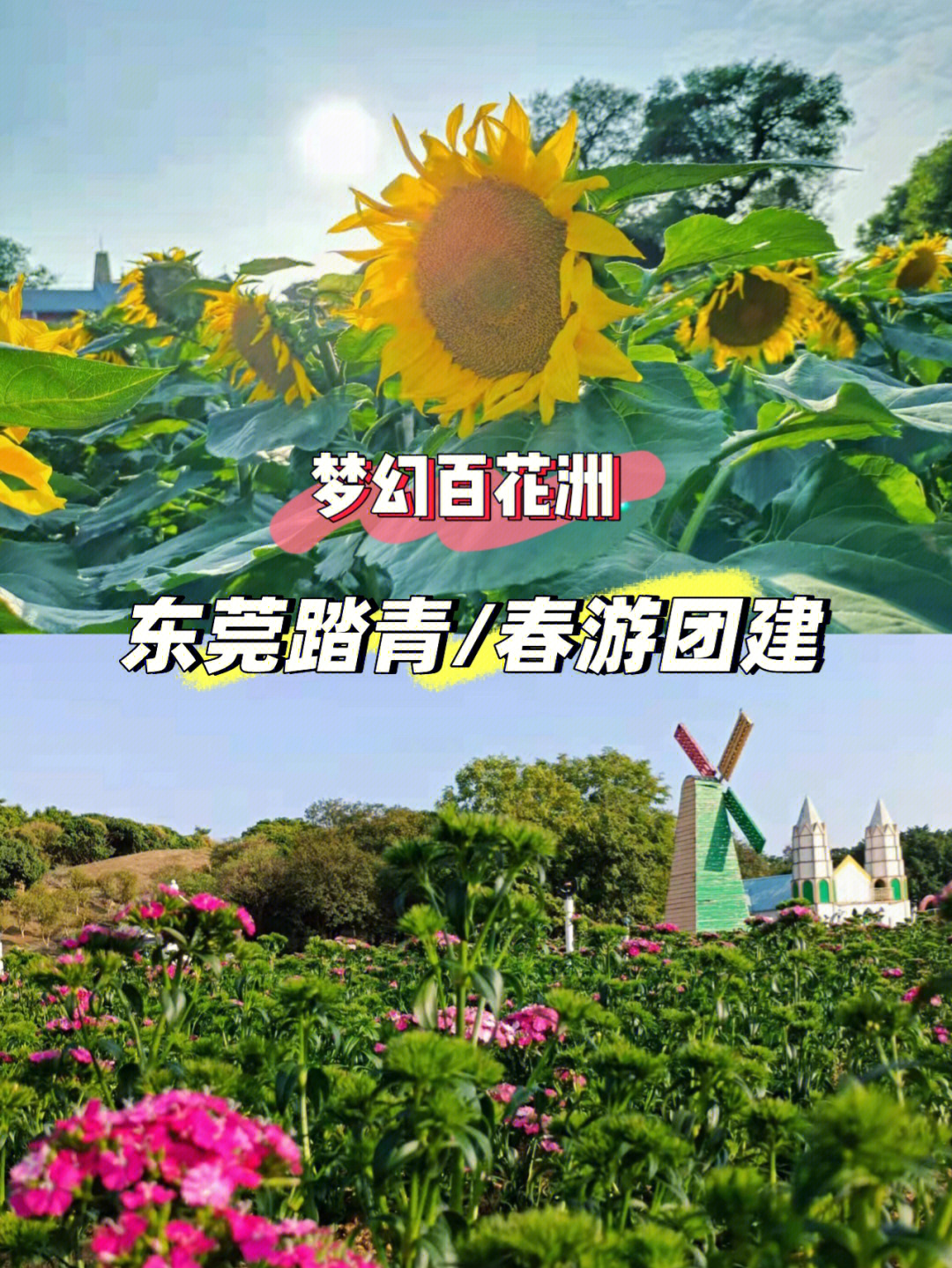 东莞团建松山湖梦幻百花洲春游踏青