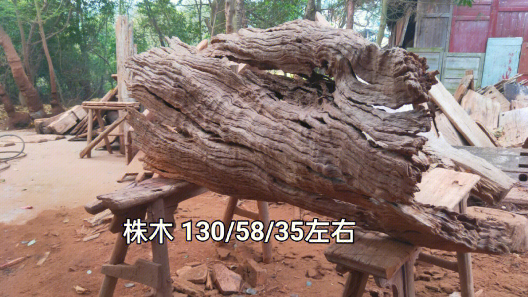 株树木材图片