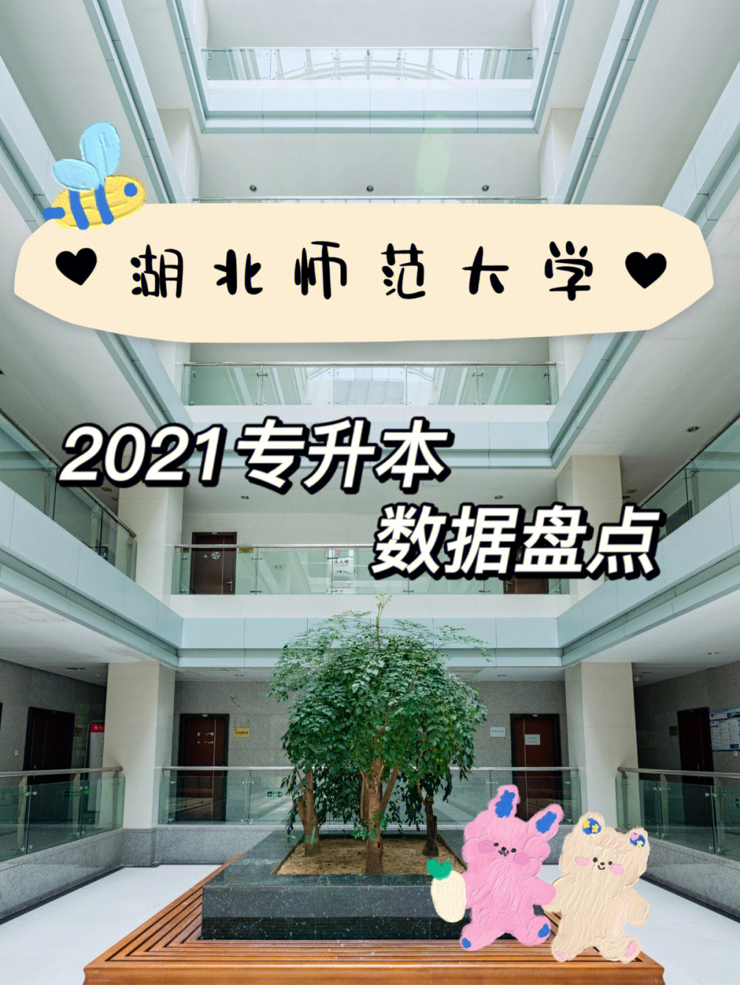 湖北有鄂州有哪些大学_2023湖北大学有专科吗_湖北理工学院有专科