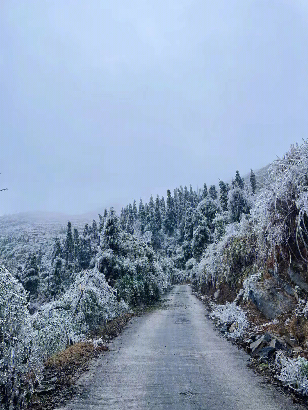 广东的冬天也有下雪天