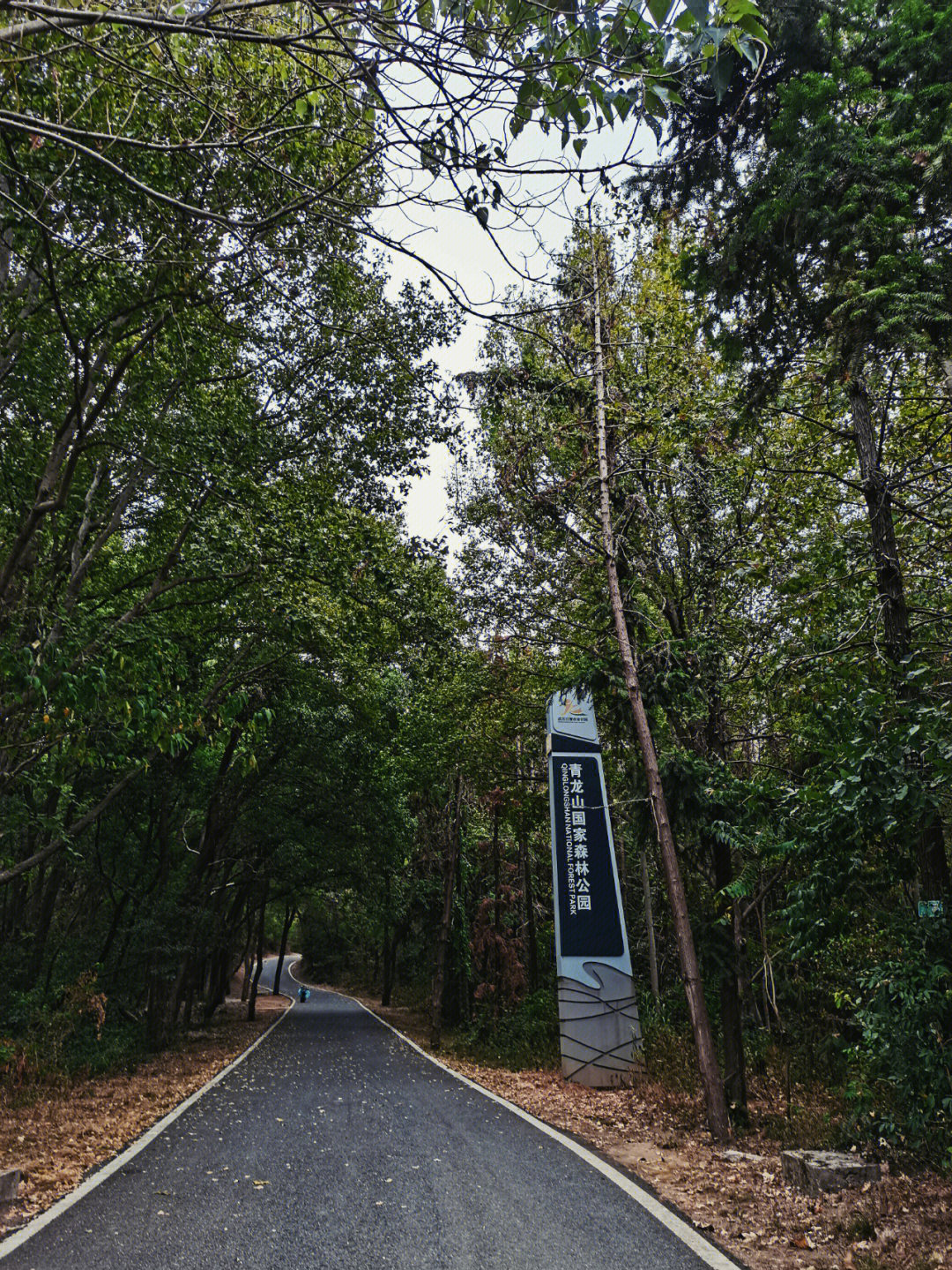 宁都半班戏青龙山3集图片