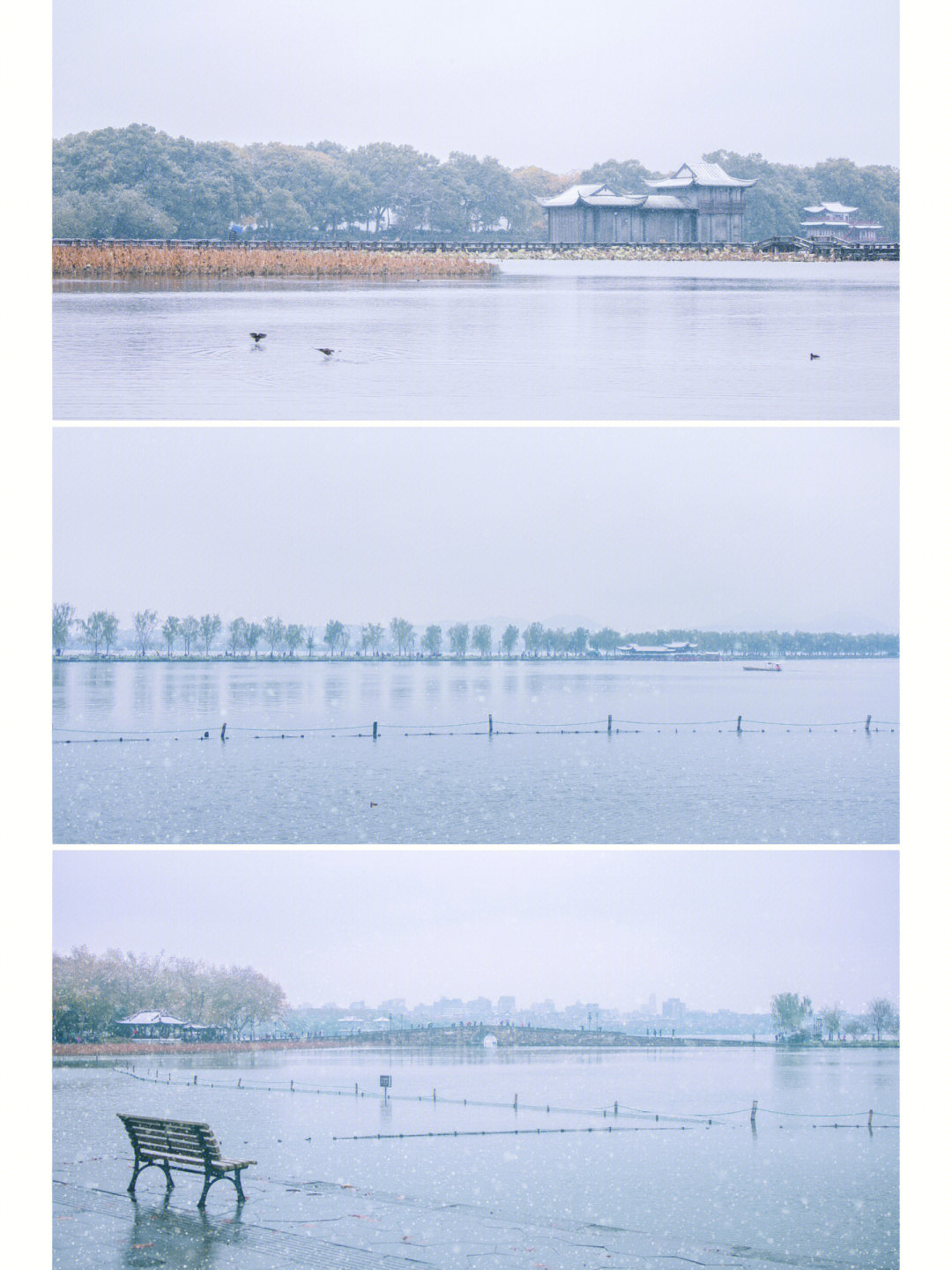 西湖雪景的诗图片