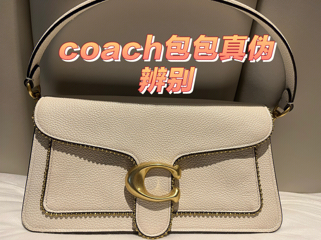 真假coach贝壳包对比图片