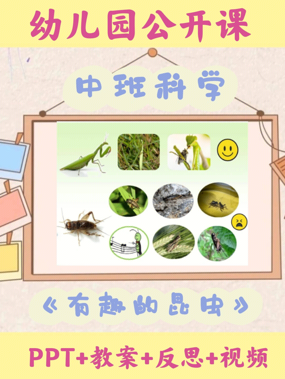 幼师课件中班科学教案有趣的昆虫