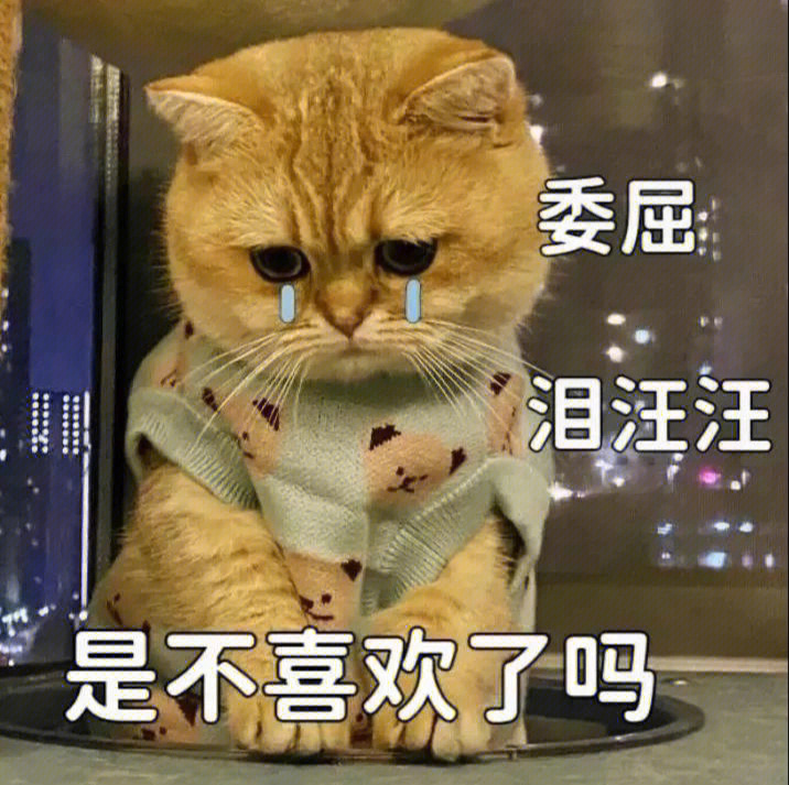 可爱的猫咪表情包二