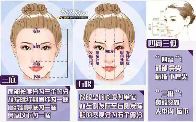 各种五官类型图解图片