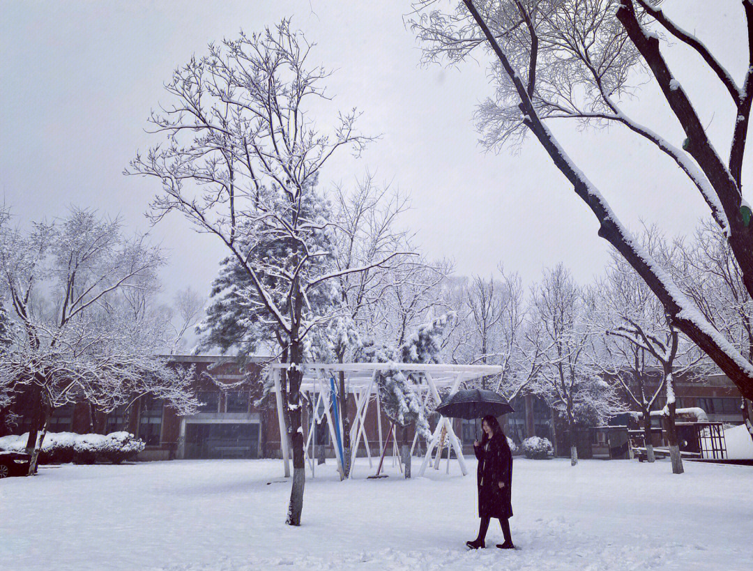 分享昨日雪景下的美好#北京的雪#雪#北京下雪啦#雪景写真