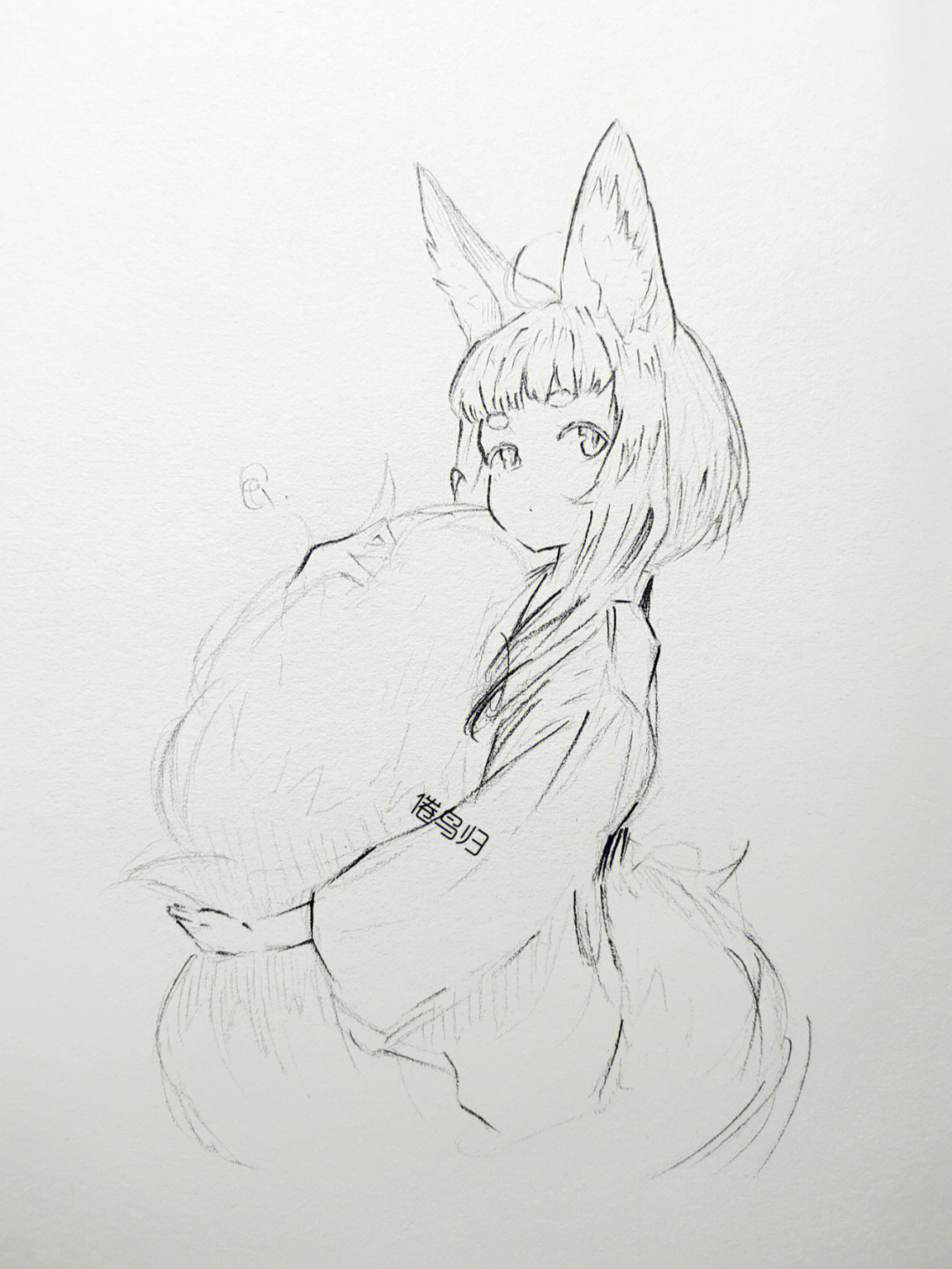 狐狸画法铅笔图片