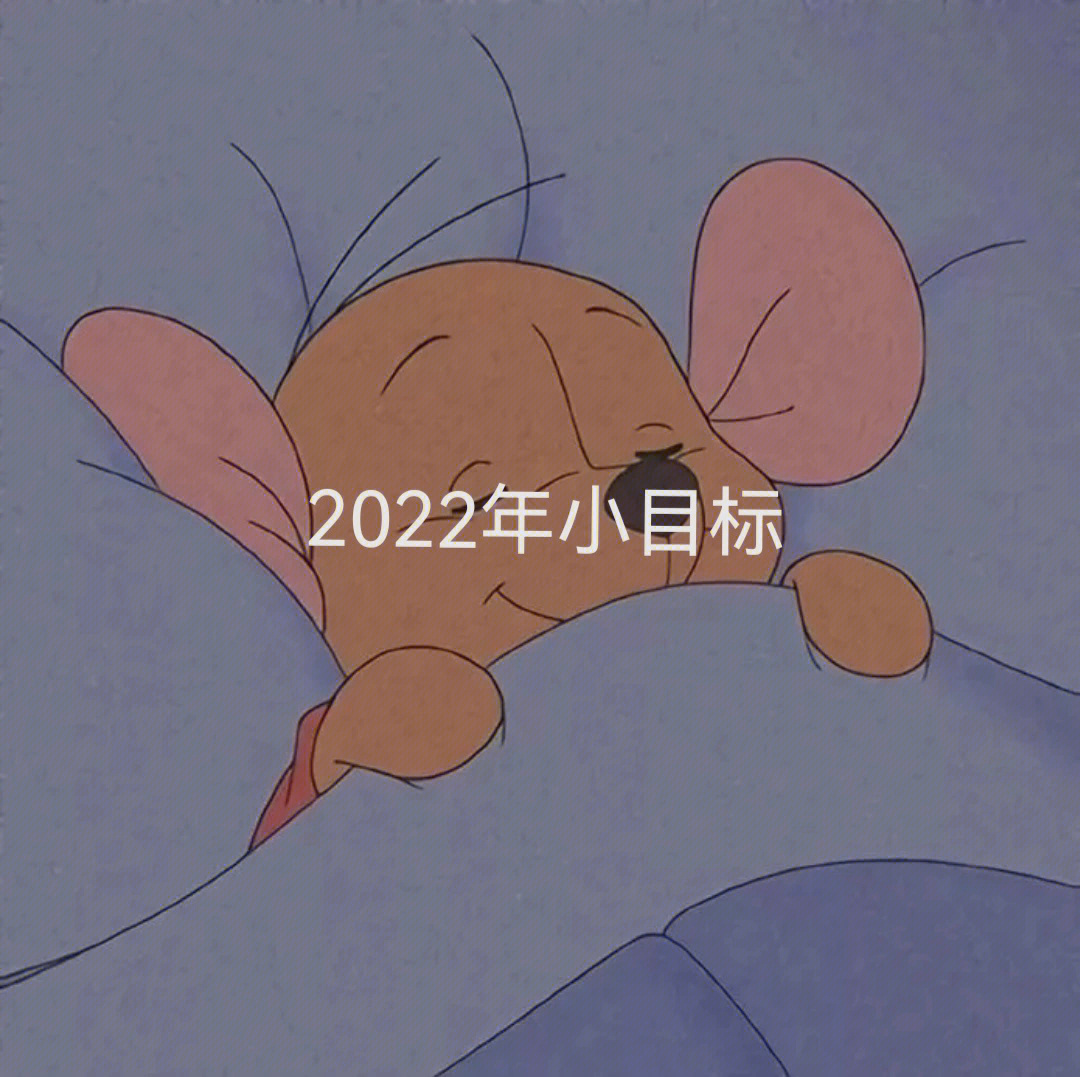 2022年目标表情包图片