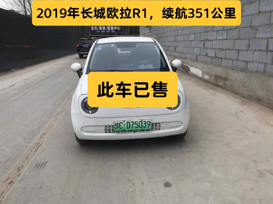 2019年长城欧拉r1续航351公里9寸彩