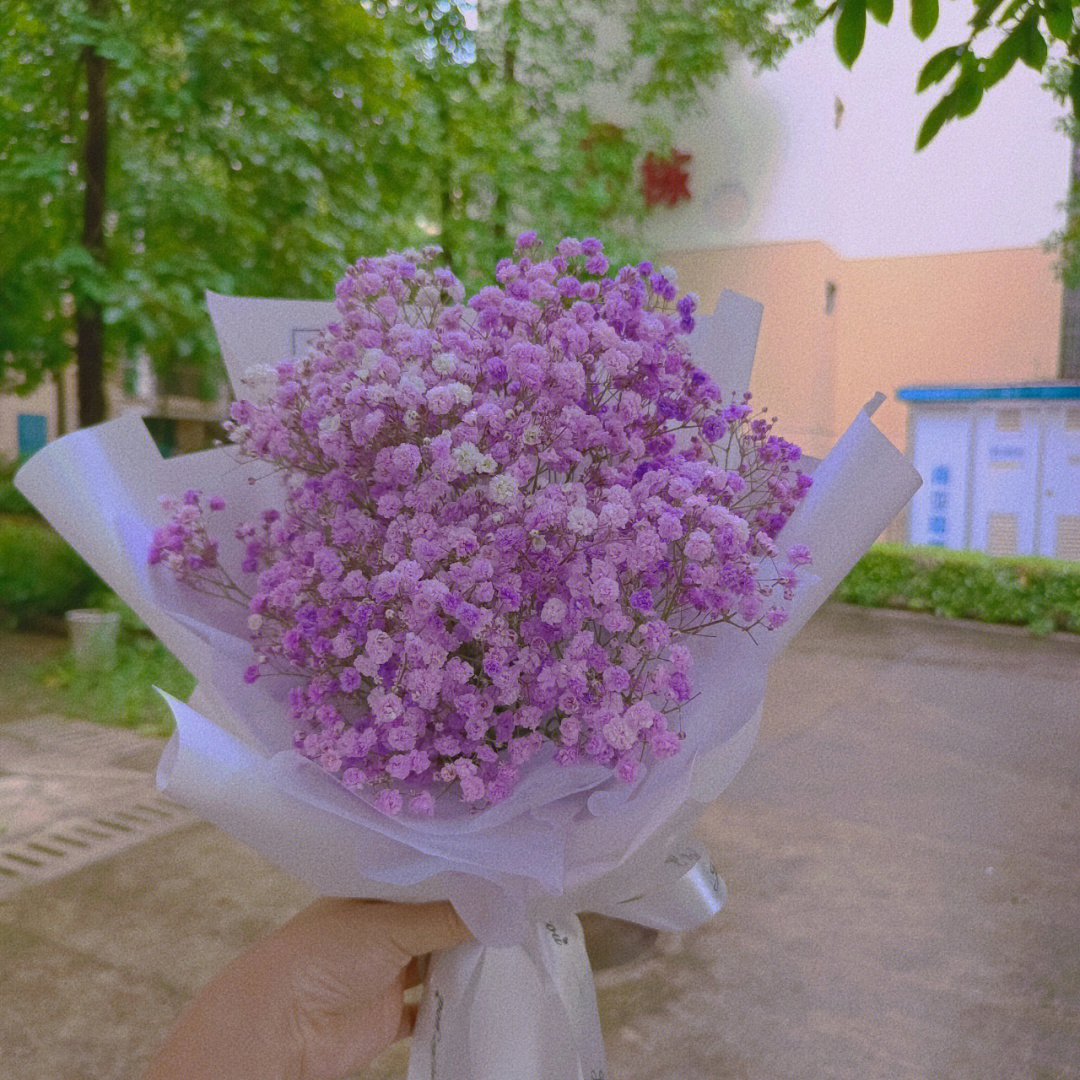 民师院花店紫色满天星小花束