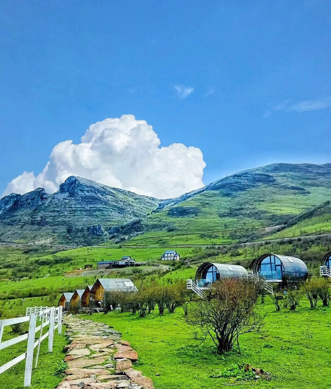 雅安轿顶山旅游攻略图片