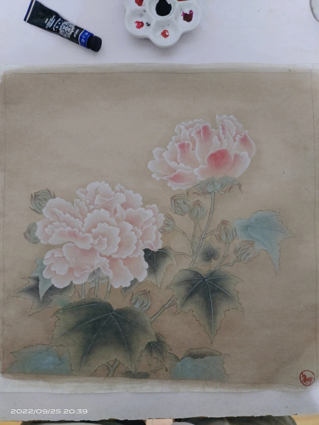 红白芙蓉图 画法图片