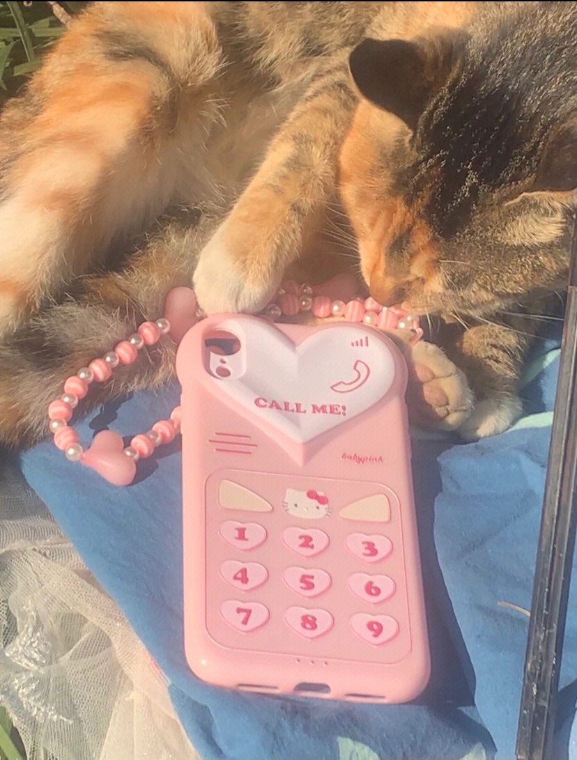 粉色猫猫摇可乐表情包图片