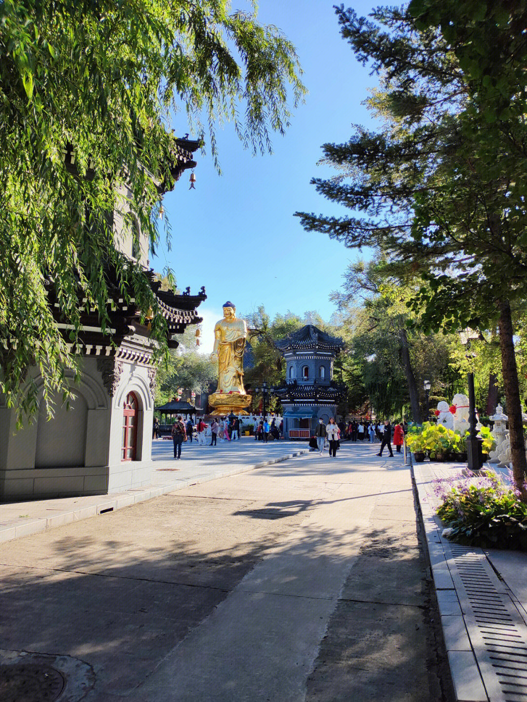 哈尔滨极乐寺位置图图片