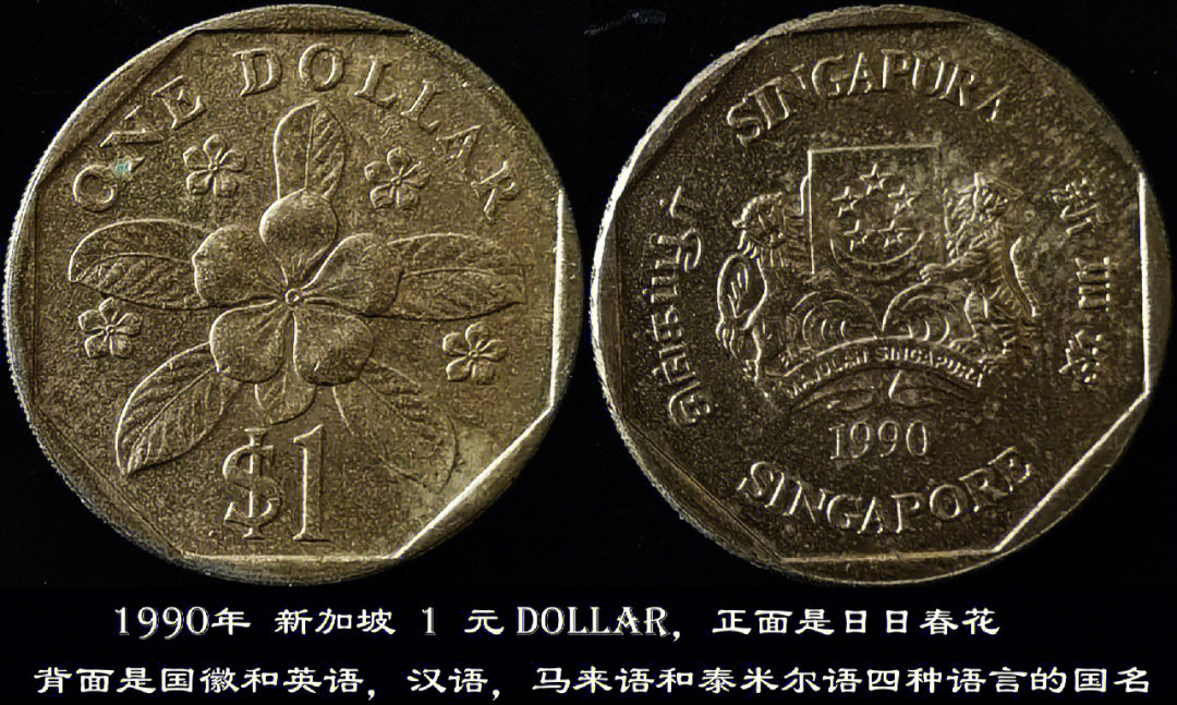 新加坡硬币50图片图片