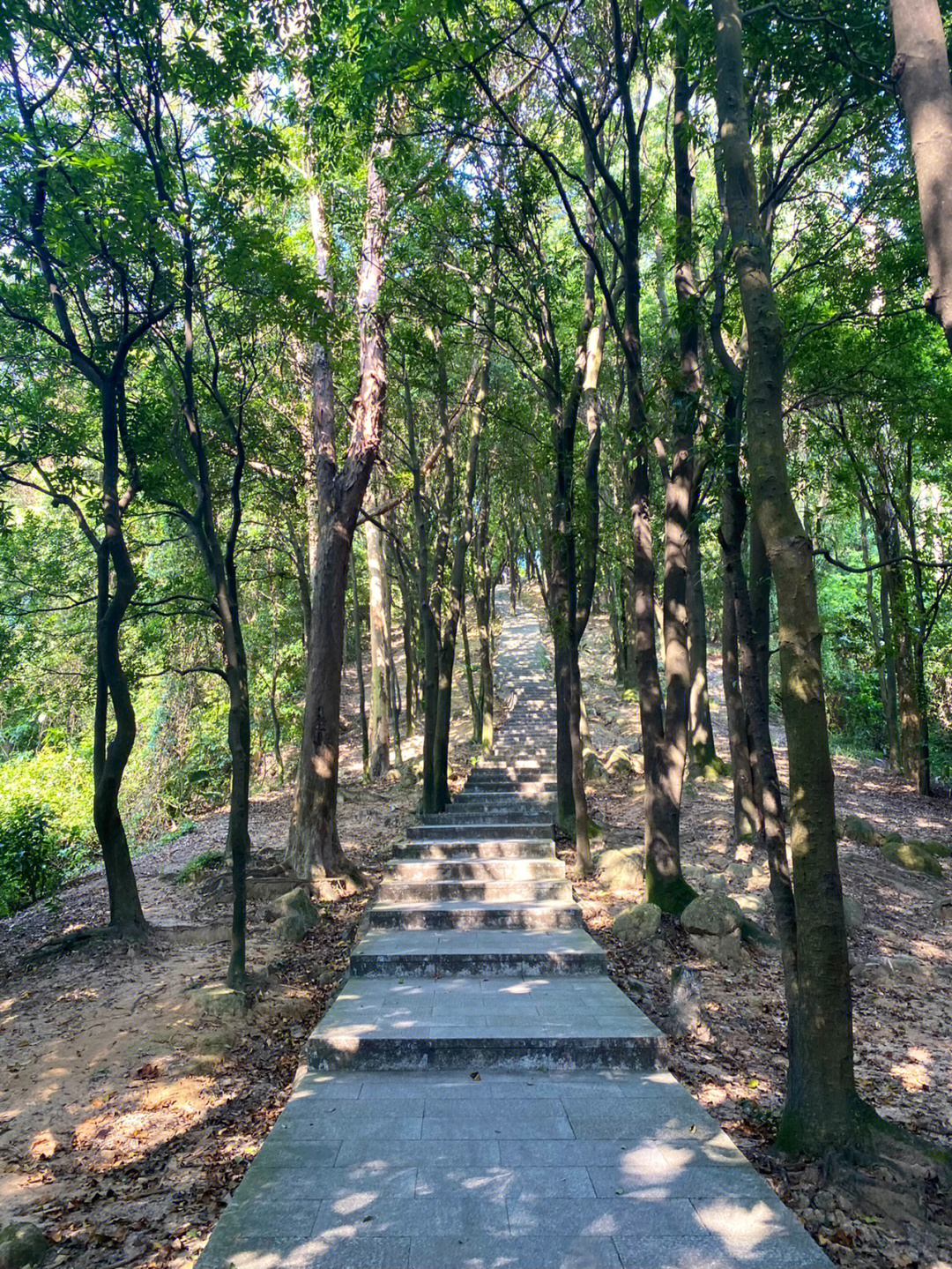 火炉山森林公园一日游图片