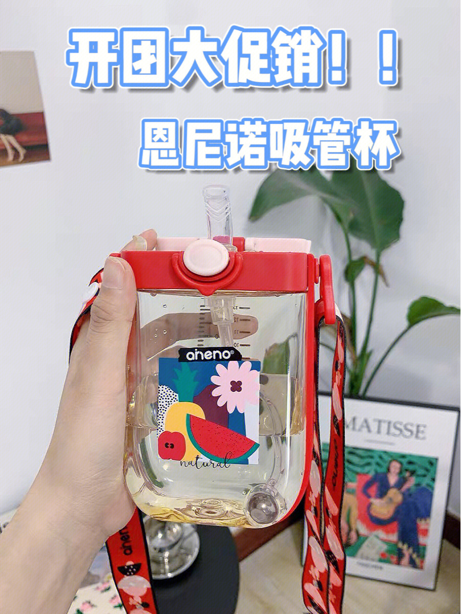 恩尼诺水杯为啥那么贵图片