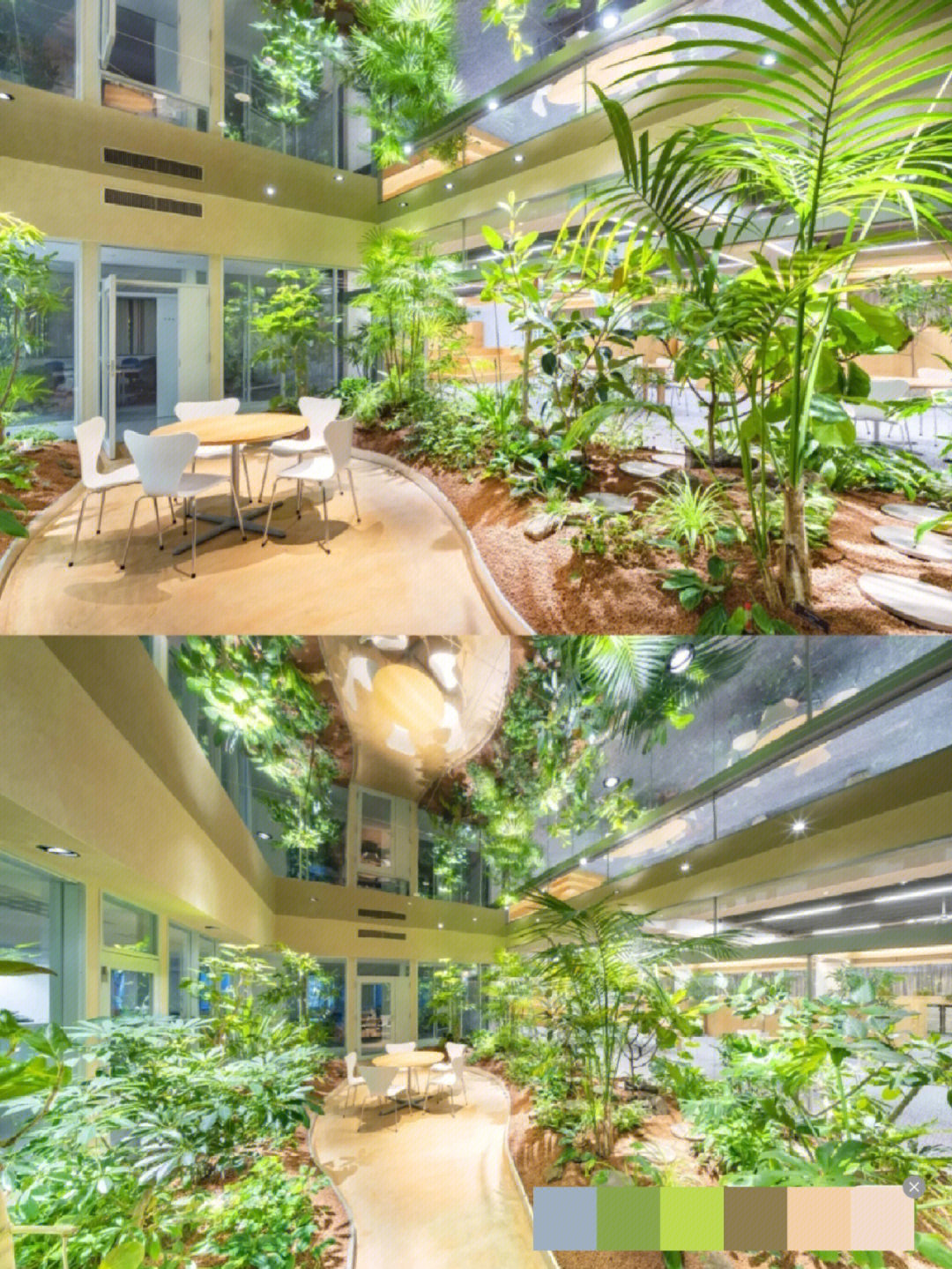 植物造景垂直空间图片