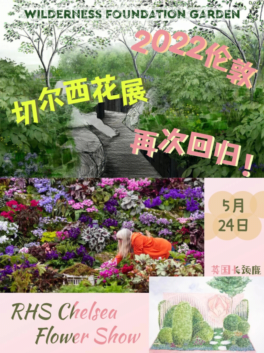 切尔西花展图纸图片