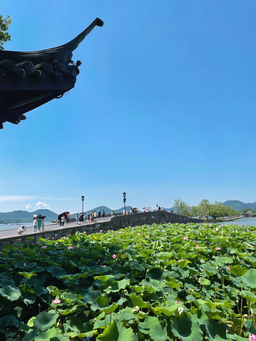 杭州西湖景区一日游