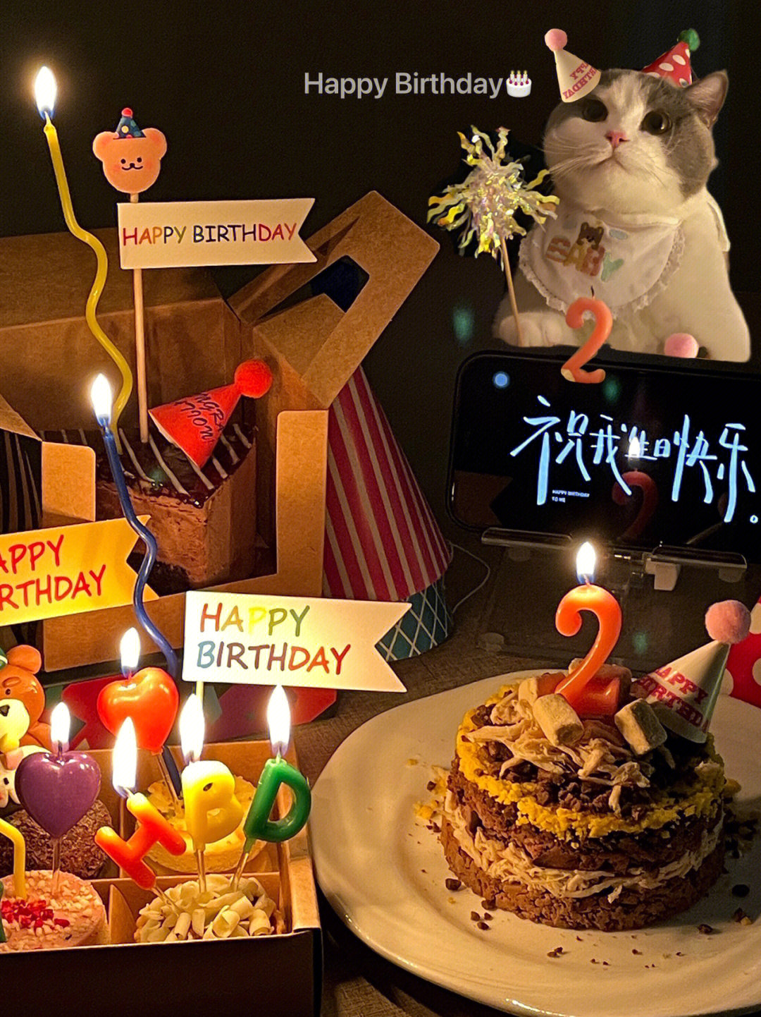 猫咪过生日图片唯美图片