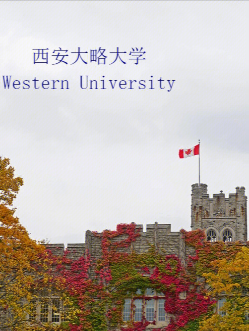 加拿大商科大学西安大略大学