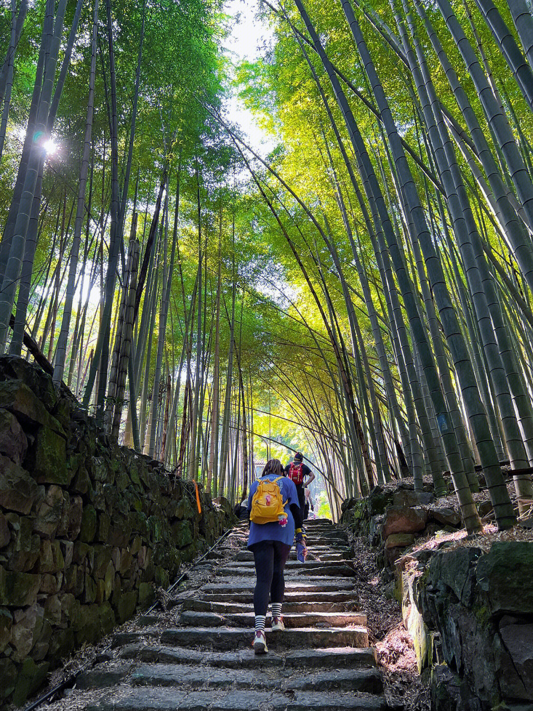 一日徒步上青古道路线