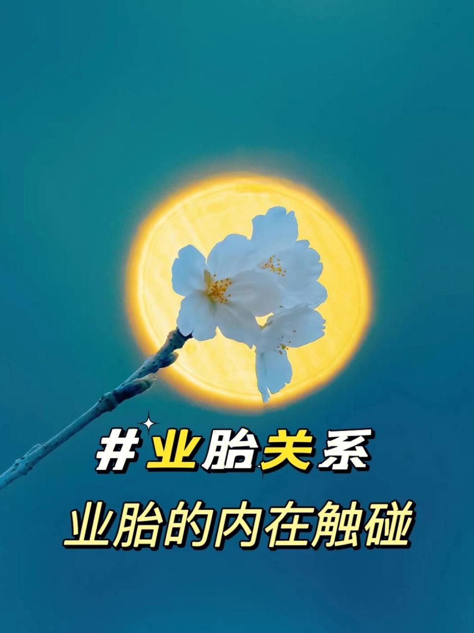 业胎 业胎的内在触碰