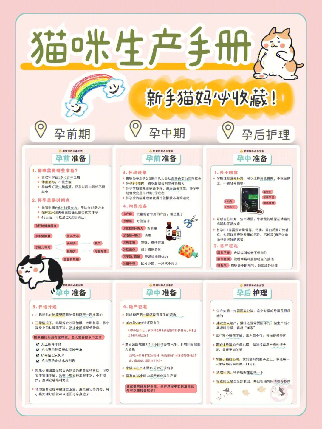 猫怀孕几个月生产图片