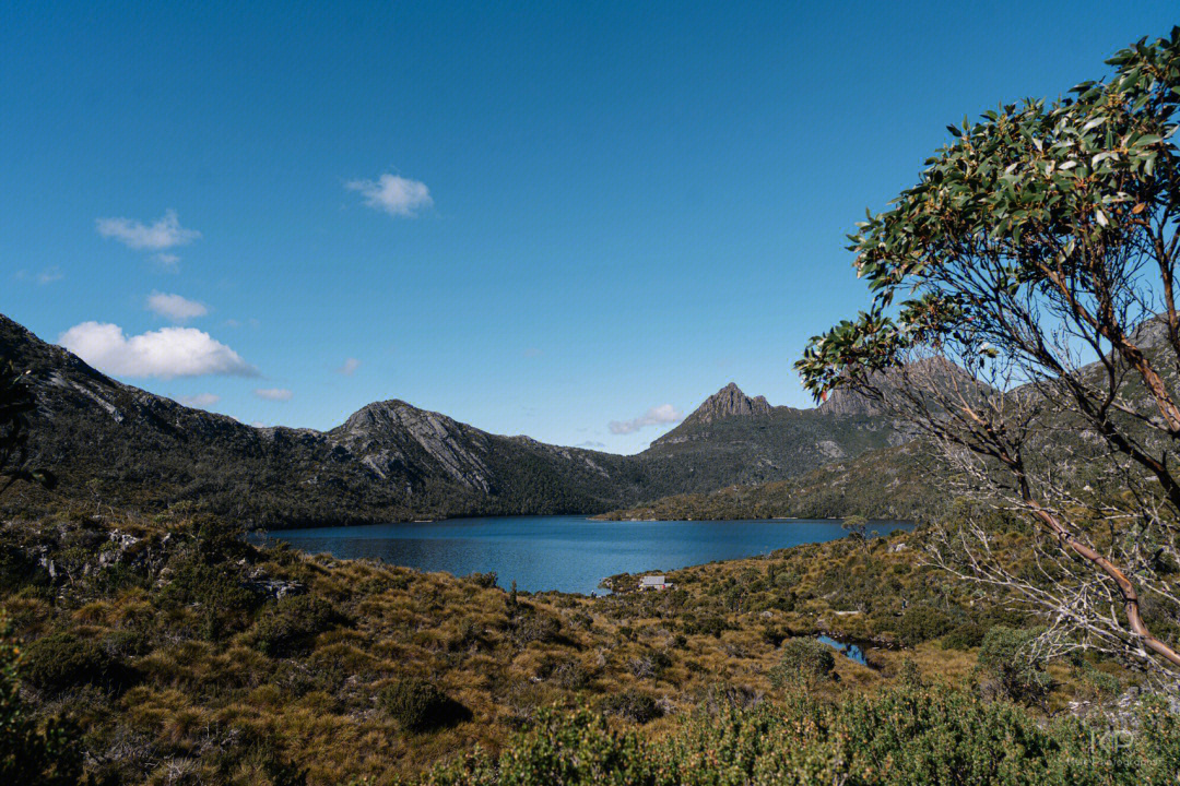 塔斯马尼亚行 摇篮山cradle mountain