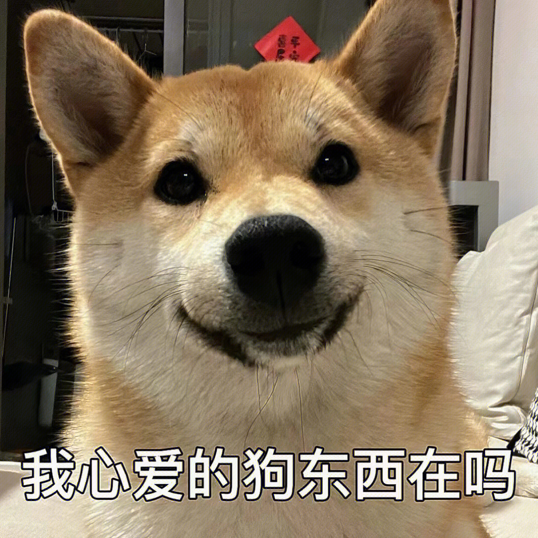 狗东西表情包文字图片