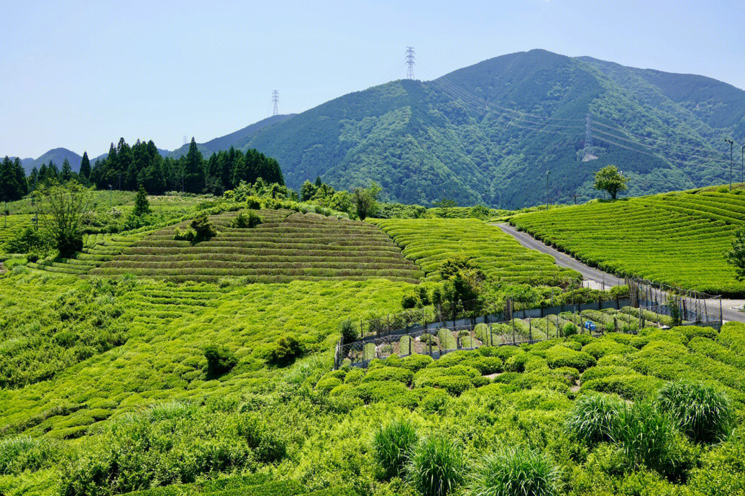 岐阜县