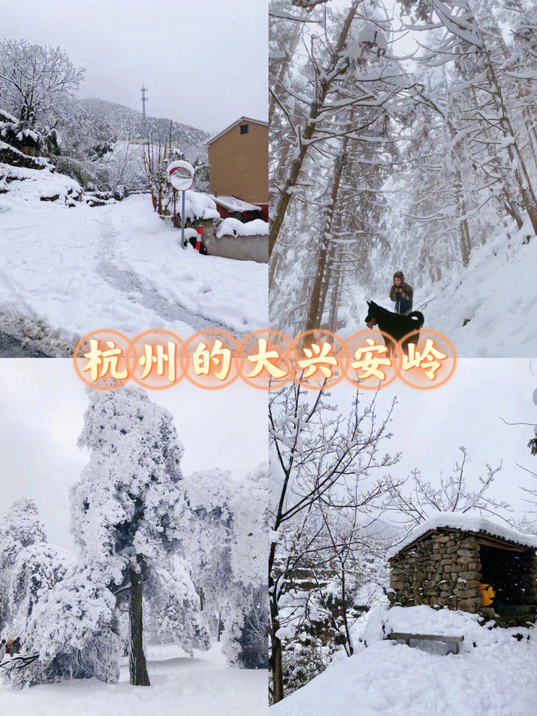 解锁雪地露营77徒步76临安百丈岭太美了