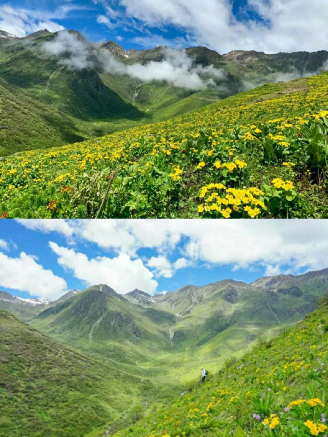 巴郎山天气图片